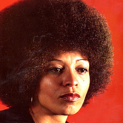 Angela Y Davis